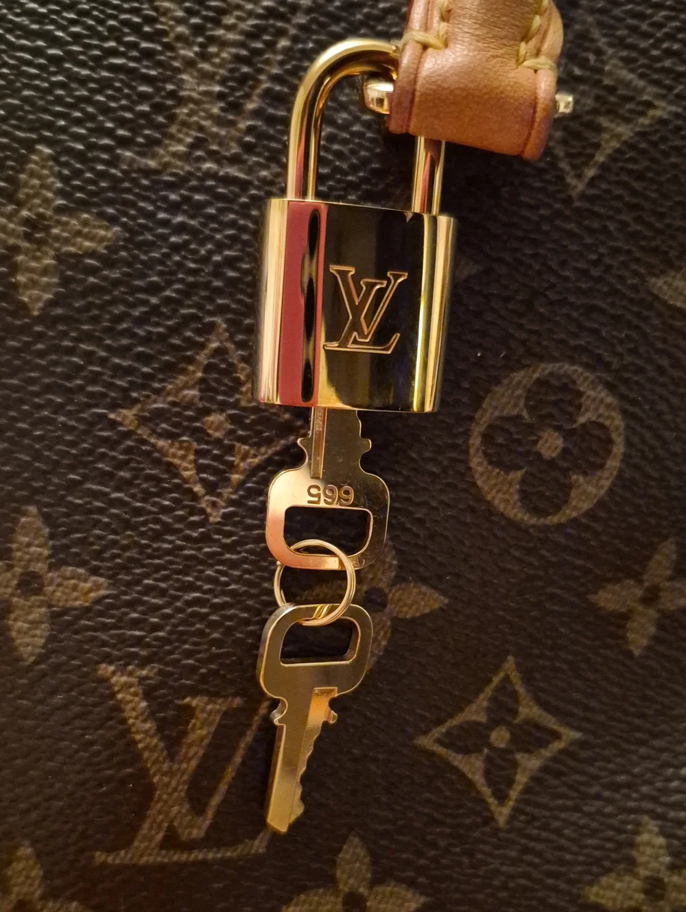 Louis Vuitton Pallas Monogram Shoulder Bag with Cerise Interior